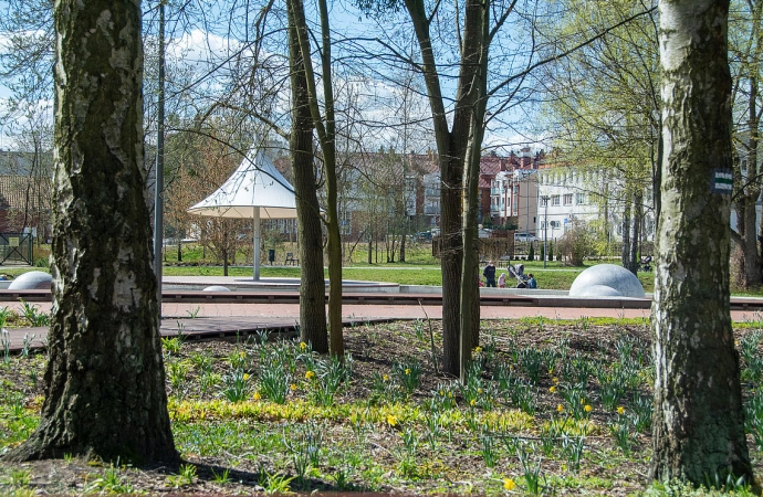 W Olsztynie zaczęły się konsultacje programu dotyczącego zieleni w mieście.