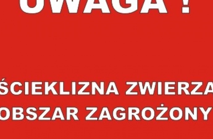 W powiecie ostródzkim znaleziono nietoperza zakażone wścieklizną.